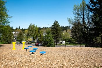 Dog park